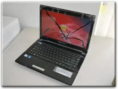 Замена матрицы Packard Bell в посёлке Электроугли